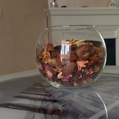 Avalon In Апартаменти Львів