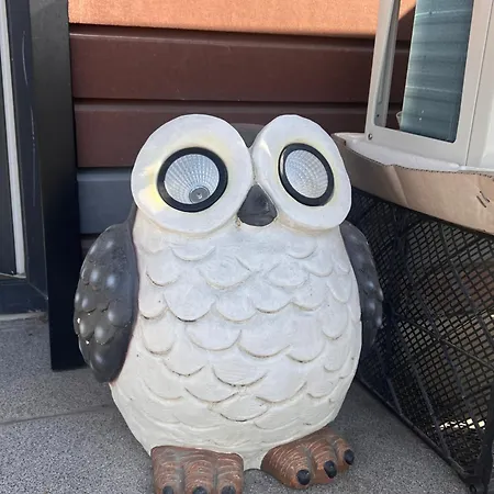 Avalon In דירה *